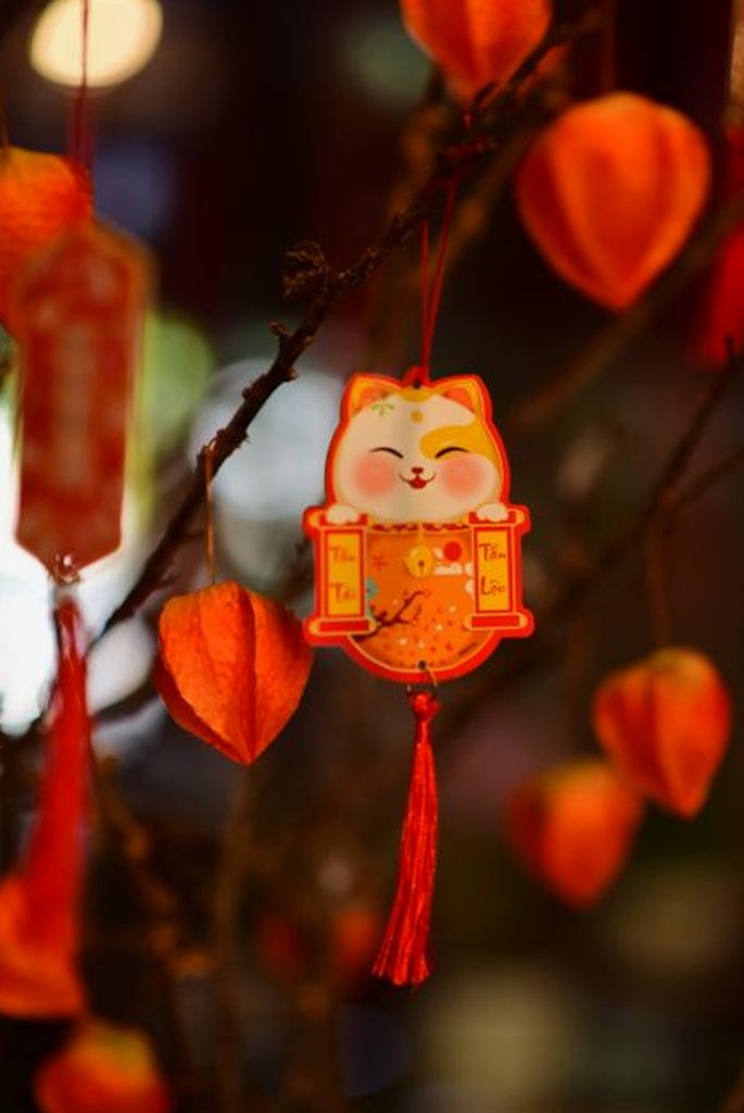 xì tố di động Sodo